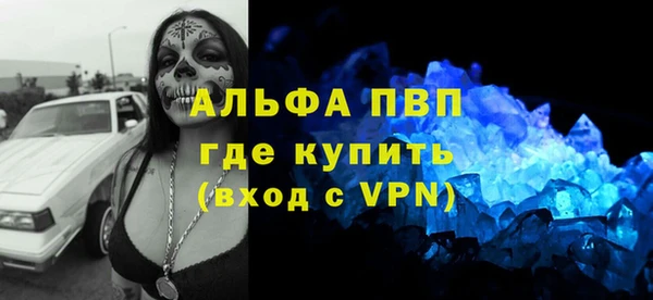 прущие грибы Арсеньев